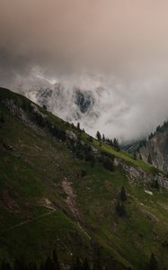Preview wallpaper slope, fog, mountains, trees, rocks
