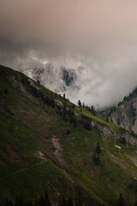 Preview wallpaper slope, fog, mountains, trees, rocks