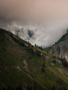 Preview wallpaper slope, fog, mountains, trees, rocks