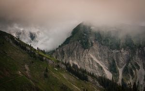 Preview wallpaper slope, fog, mountains, trees, rocks