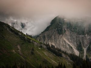 Preview wallpaper slope, fog, mountains, trees, rocks