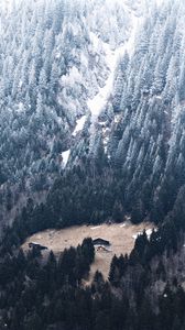 Preview wallpaper slope, forest, house, mountain, snow