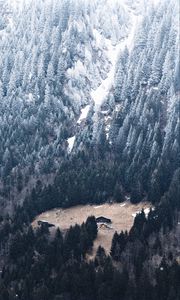 Preview wallpaper slope, forest, house, mountain, snow