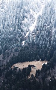 Preview wallpaper slope, forest, house, mountain, snow