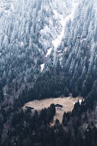 Preview wallpaper slope, forest, house, mountain, snow