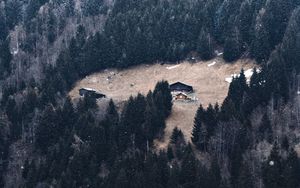 Preview wallpaper slope, forest, house, mountain, snow