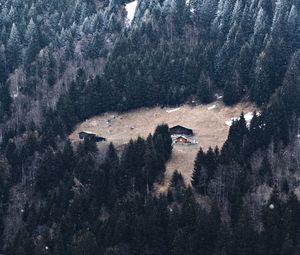 Preview wallpaper slope, forest, house, mountain, snow