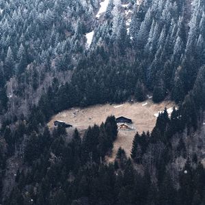 Preview wallpaper slope, forest, house, mountain, snow