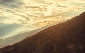 Preview wallpaper slope, forest, mountains, clouds, nature