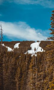 Preview wallpaper slope, forest, snow, trees