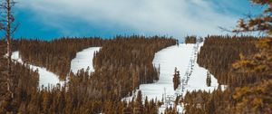 Preview wallpaper slope, forest, snow, trees