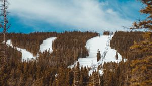 Preview wallpaper slope, forest, snow, trees