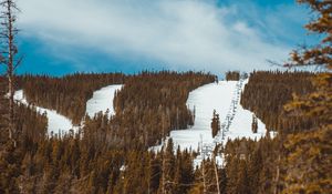 Preview wallpaper slope, forest, snow, trees
