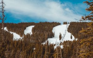 Preview wallpaper slope, forest, snow, trees