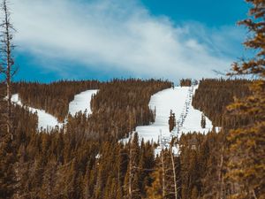 Preview wallpaper slope, forest, snow, trees