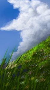 Preview wallpaper slope, grass, flowers, sky, art