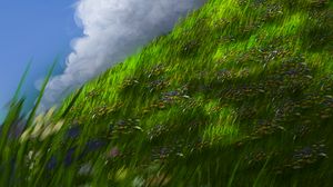 Preview wallpaper slope, grass, flowers, sky, art