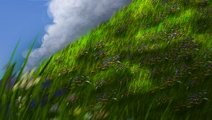 Preview wallpaper slope, grass, flowers, sky, art