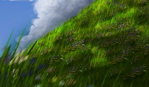 Preview wallpaper slope, grass, flowers, sky, art