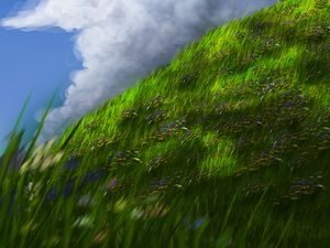 Preview wallpaper slope, grass, flowers, sky, art
