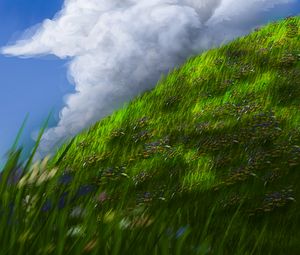 Preview wallpaper slope, grass, flowers, sky, art