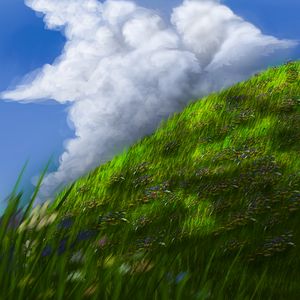 Preview wallpaper slope, grass, flowers, sky, art