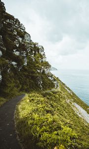 Preview wallpaper slope, grass, sea, path, coast