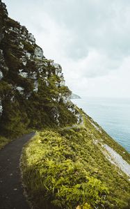 Preview wallpaper slope, grass, sea, path, coast