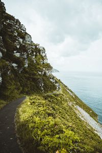 Preview wallpaper slope, grass, sea, path, coast