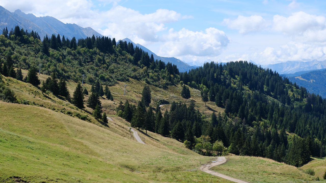 Wallpaper slope, grass, trees, nature