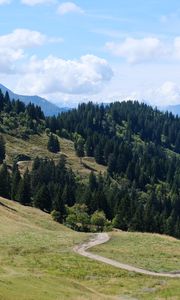 Preview wallpaper slope, grass, trees, nature