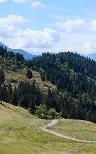 Preview wallpaper slope, grass, trees, nature