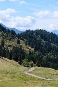 Preview wallpaper slope, grass, trees, nature