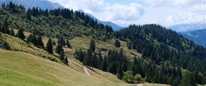 Preview wallpaper slope, grass, trees, nature