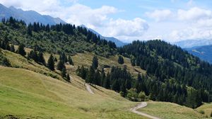 Preview wallpaper slope, grass, trees, nature