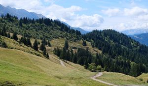 Preview wallpaper slope, grass, trees, nature