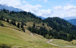 Preview wallpaper slope, grass, trees, nature