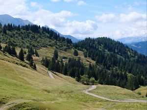 Preview wallpaper slope, grass, trees, nature