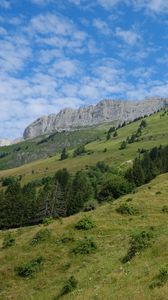 Preview wallpaper slope, grass, trees, mountains, nature