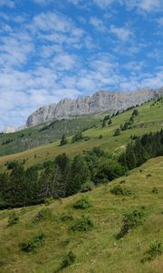 Preview wallpaper slope, grass, trees, mountains, nature