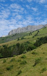 Preview wallpaper slope, grass, trees, mountains, nature