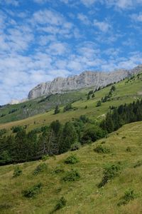 Preview wallpaper slope, grass, trees, mountains, nature