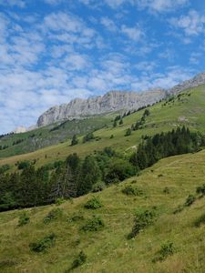 Preview wallpaper slope, grass, trees, mountains, nature