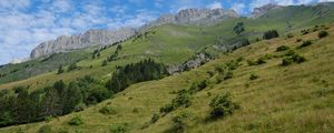 Preview wallpaper slope, grass, trees, mountains, nature