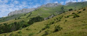 Preview wallpaper slope, grass, trees, mountains, nature