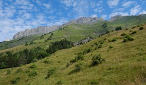 Preview wallpaper slope, grass, trees, mountains, nature