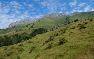 Preview wallpaper slope, grass, trees, mountains, nature