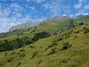 Preview wallpaper slope, grass, trees, mountains, nature