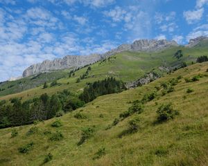 Preview wallpaper slope, grass, trees, mountains, nature