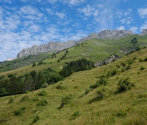 Preview wallpaper slope, grass, trees, mountains, nature